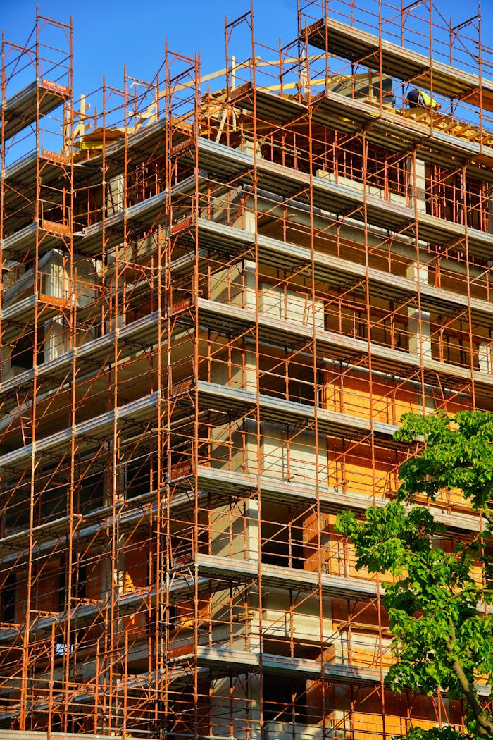 pexels photo 31865990.jpeg